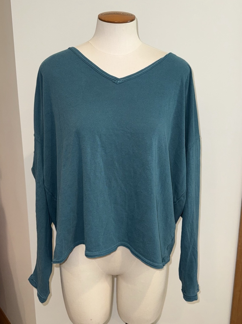 Free People Long Sleeve Top in Blue Size Medium NWT